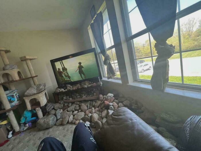 Obývacia izba s televízorom obklopeným skalami, veľké okná a škrabadlá pre mačky v rohu miestnosti.