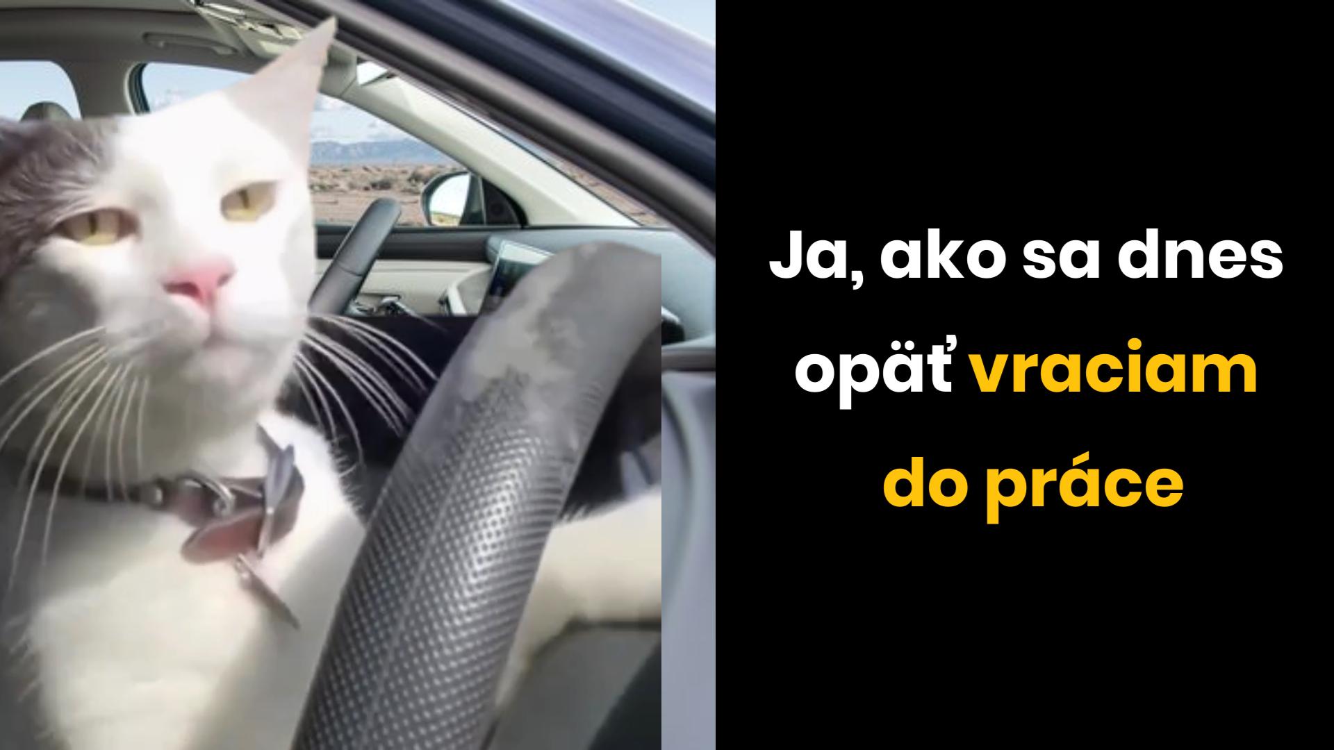 Včera bolo včera, dnes je dnes