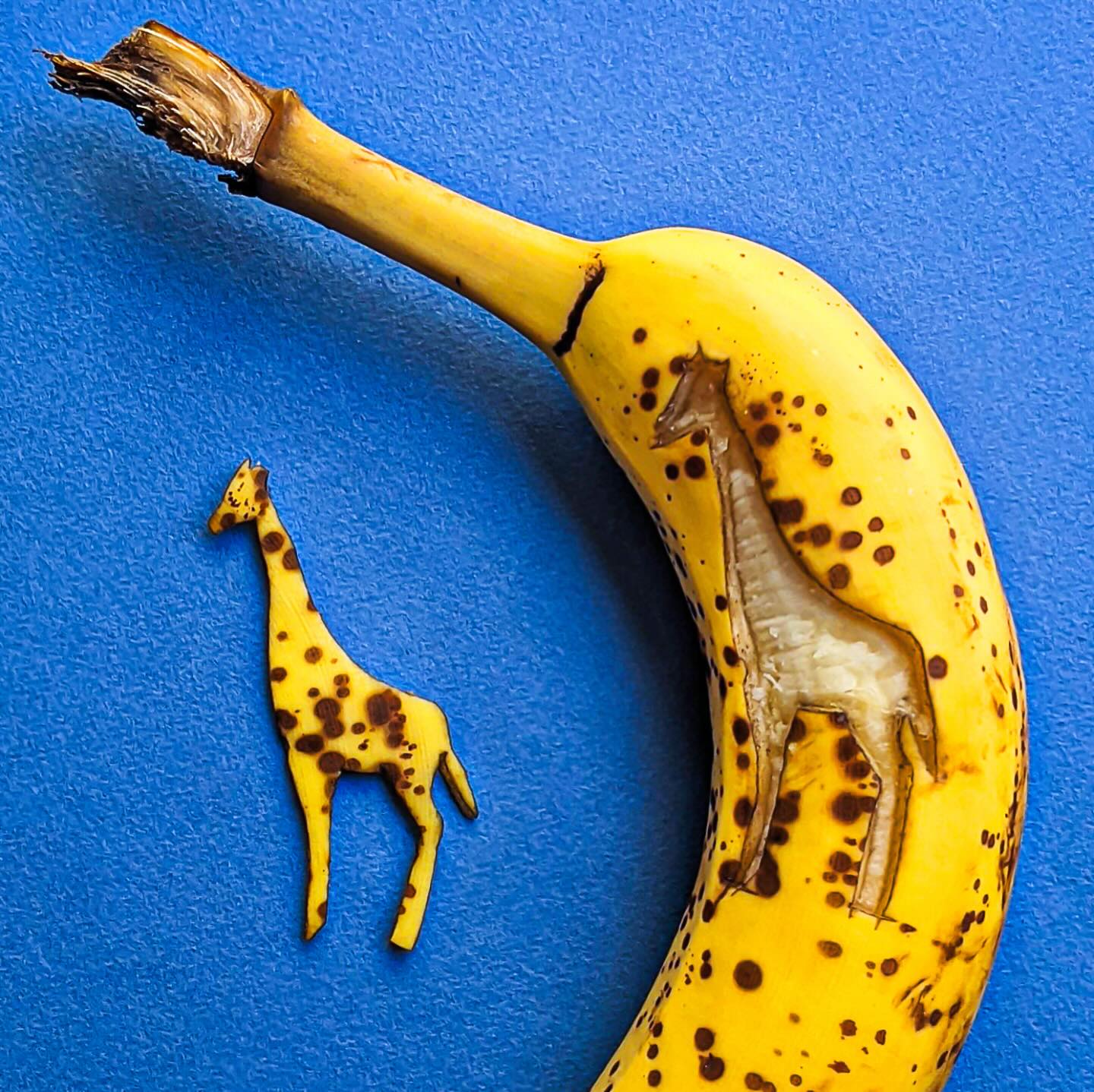 Žirafa vyrezaná do banánu, vedľa ktorej je položený kúsok v tvare žirafy na modrom pozadí.
