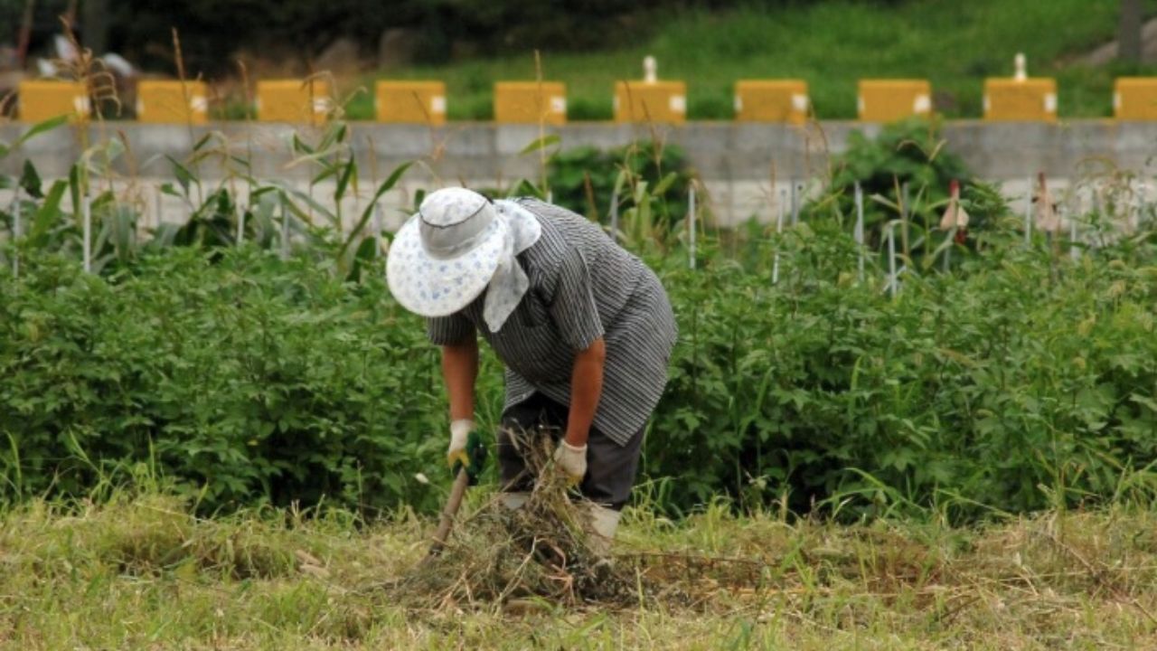 Farmár rozdal 400 000 eur chudobným, pretože mu Boh povedal, že za to pôjde do neba