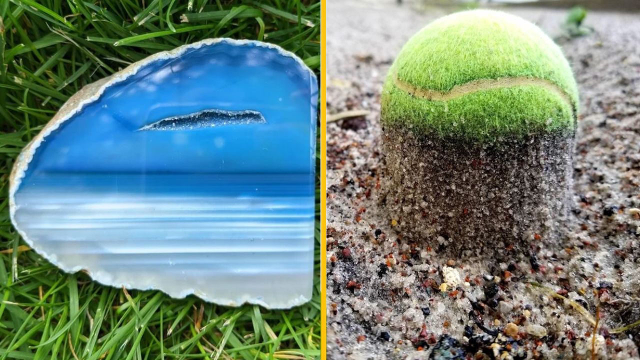 20 prípadov, kedy sa Matka Príroda rozhodla zdobiť a výsledky sú ohromujúce