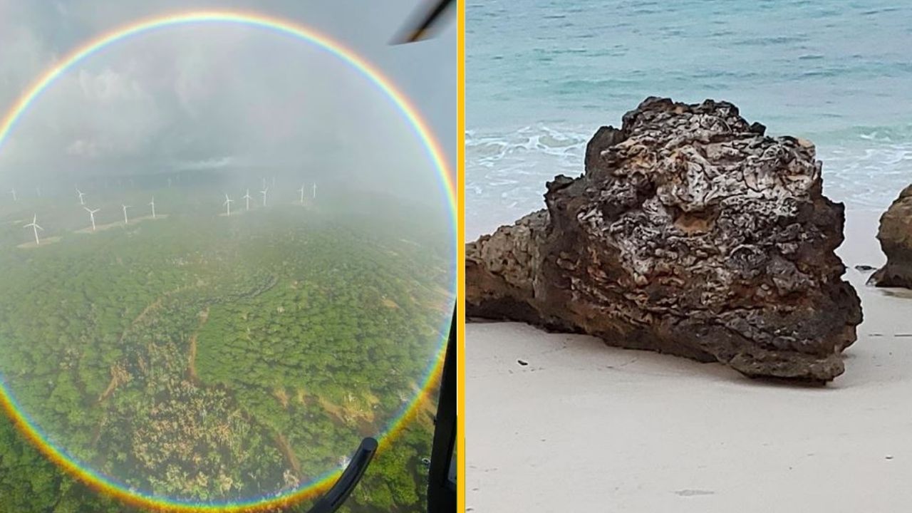 19 prípadov, kedy akoby príroda bola inšpirovaná veľmi mocnou múzou