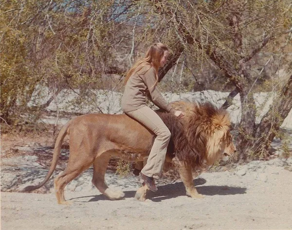 Osoba sedí na chrbte leva v prírodnom prostredí, obklopená stromami a suchou pôdou.