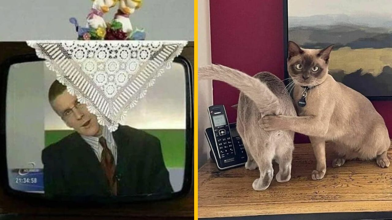 10 jedinečných náhodných fotiek, ktoré vám zlepšia náladu