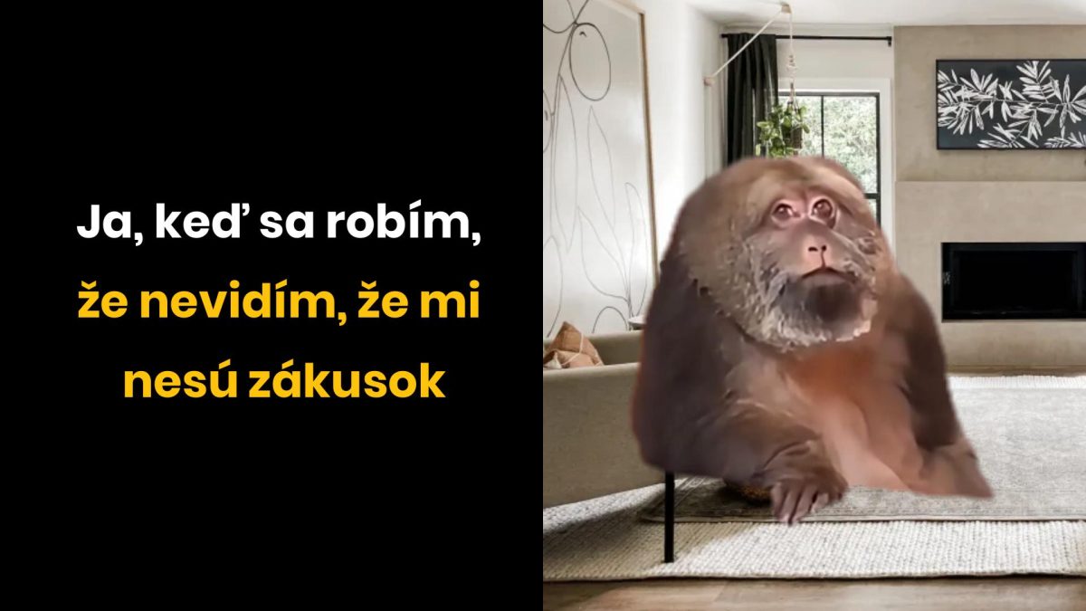 Opica sedí v obývačke s textom: Ja, keď sa robím, že nevidím, že mi nesú zákusok.