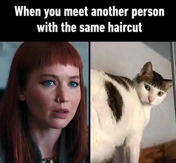 Žena a mačka s podobným účesom, vtipný záber zachytávajúci náhodnú podobnosť.