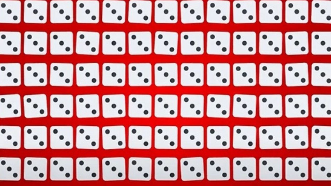 Do 5 sekúnd zvládnu len najlepší: Ktorá z kociek je iná?