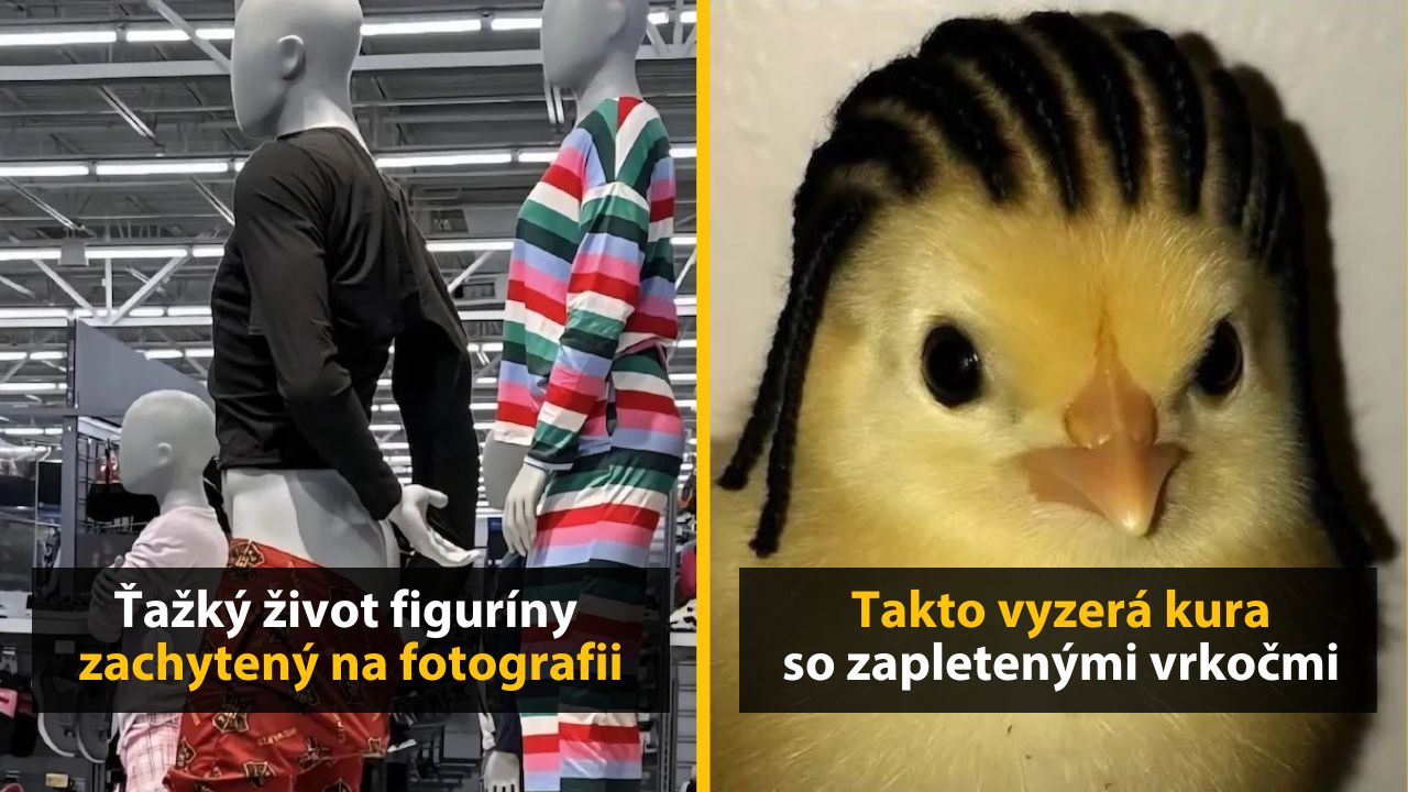 30+ Obrázkov, ktorými dokonale zabiješ čas #602 – Kura so zapletenými vrkočmi alebo dom v tvare muža