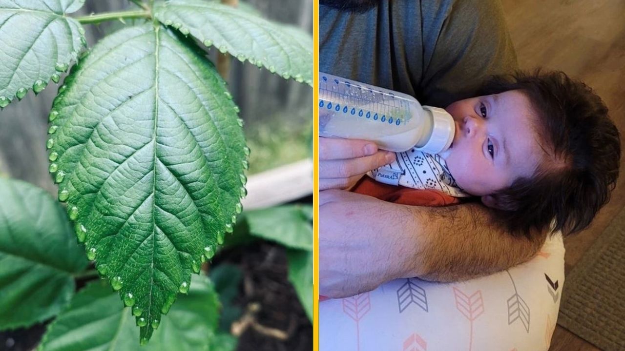 20 fotografií, ktoré odhalia svoju podstatu, keď zaostríte zrak