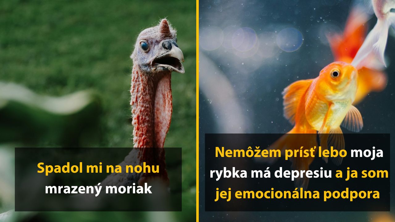 10 bláznivých výhovoriek zamestnancov, ktoré sa neskôr ukázali ako pravdivé