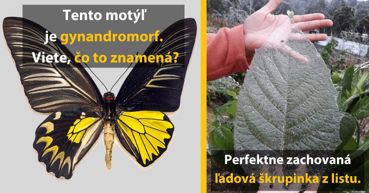 15 vzácnych úkazov a miest, ktoré vyzerajú ako z iného sveta