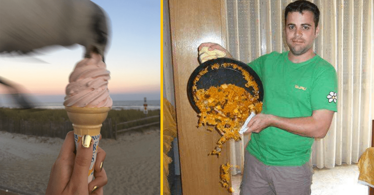 Čajka kradne zmrzlinu z kornútka na pláži; muž náhodou vysypal jedlo z panvice na zem v kuchyni.