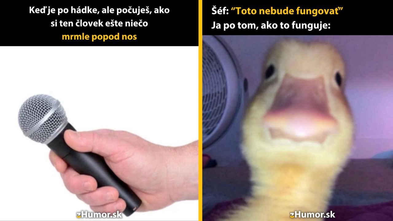 Zopár memečiek, ktoré vznikli, aby ti spríjemnili deň #1590: Povedz to hlasnejšie, aj ja chcem počuť.
