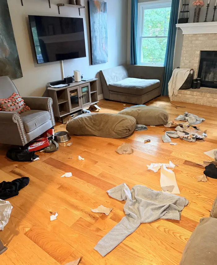 Neporiadok v obývačke: rozhádzané vankúše, oblečenie a papiere na drevenej podlahe, vedľa televízie a krbu.