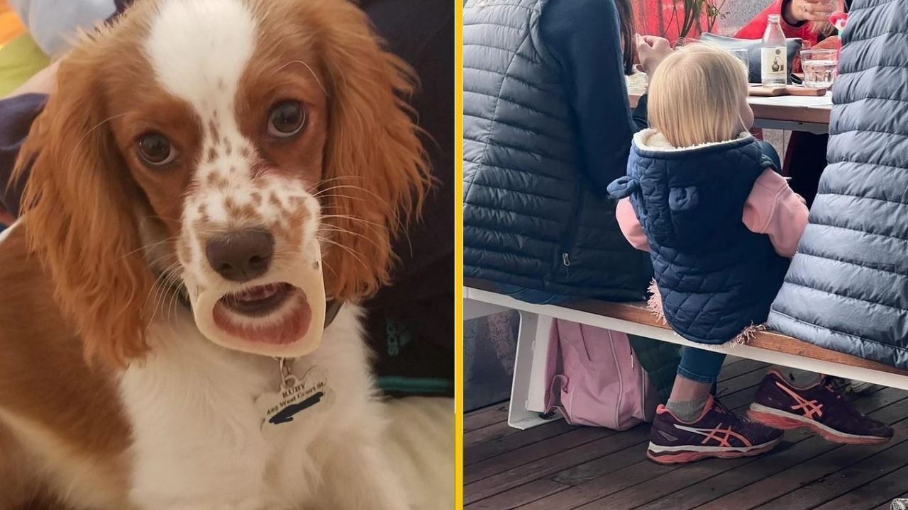 18 zvláštnych fotografií, ktoré vás prinútia zamyslieť sa, čo sa deje