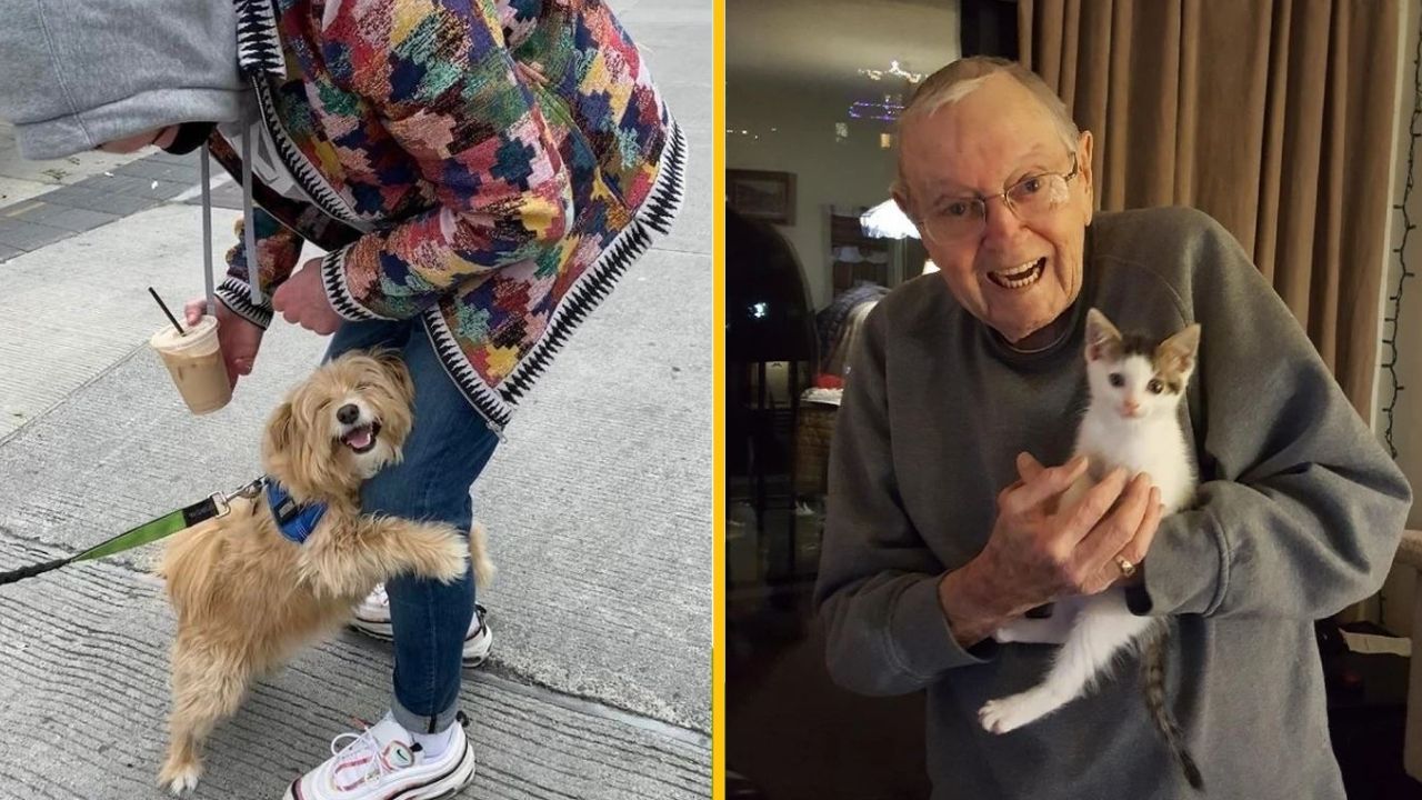 20+ fotografií, ktoré vás rozosmejú a dojmú