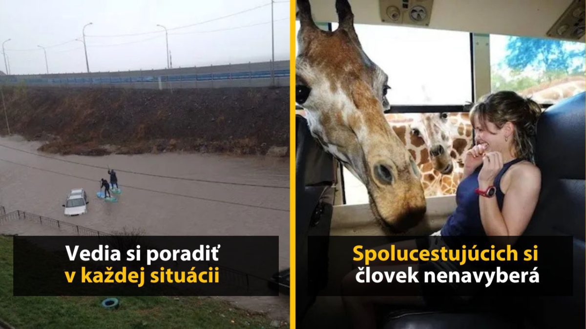 Jazero na ceste a surfovanie, žirafa v autobuse a usmievavá turistka – kreativita a nečakané situácie.
