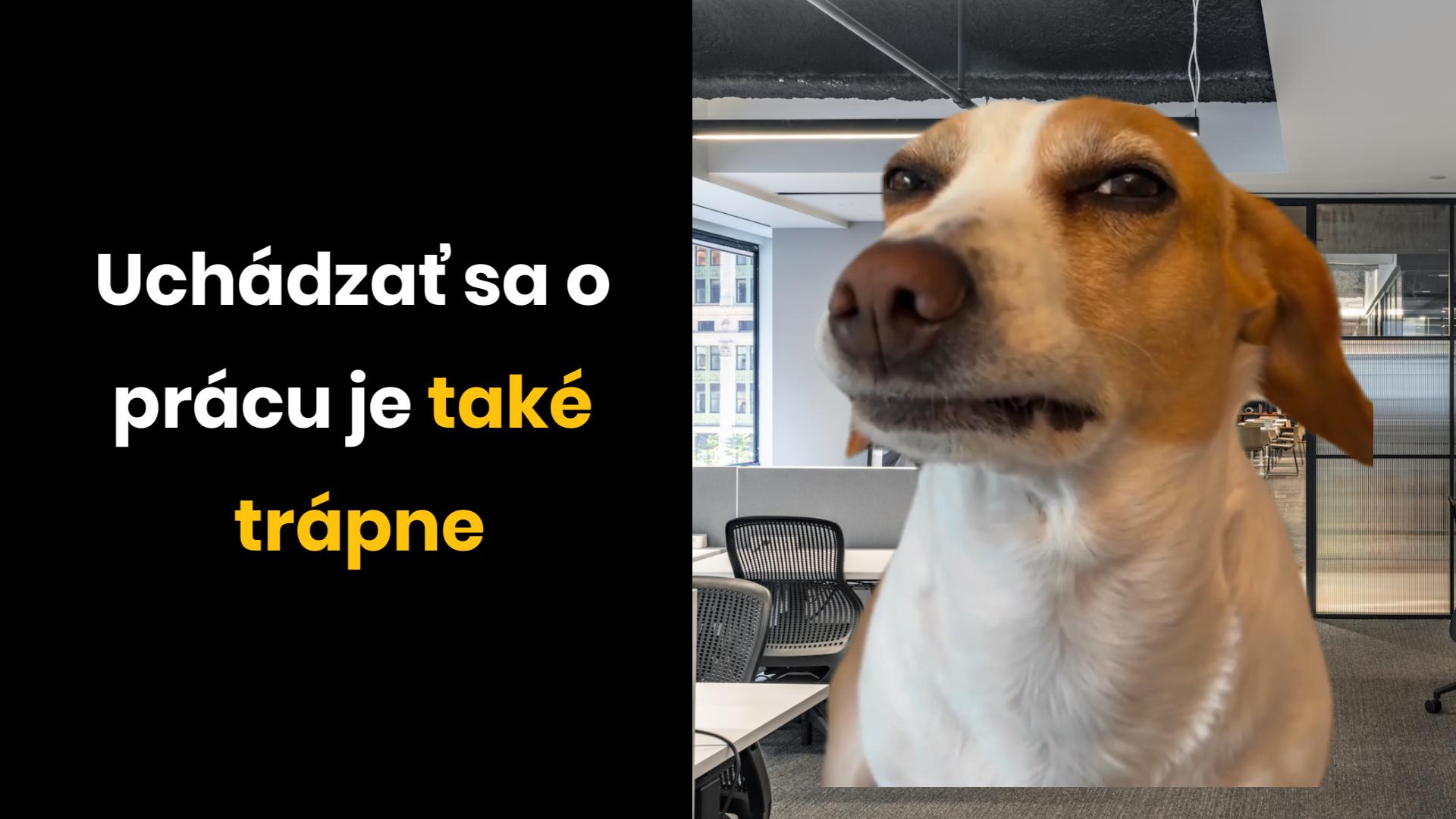 Poníženie sa za peniaze