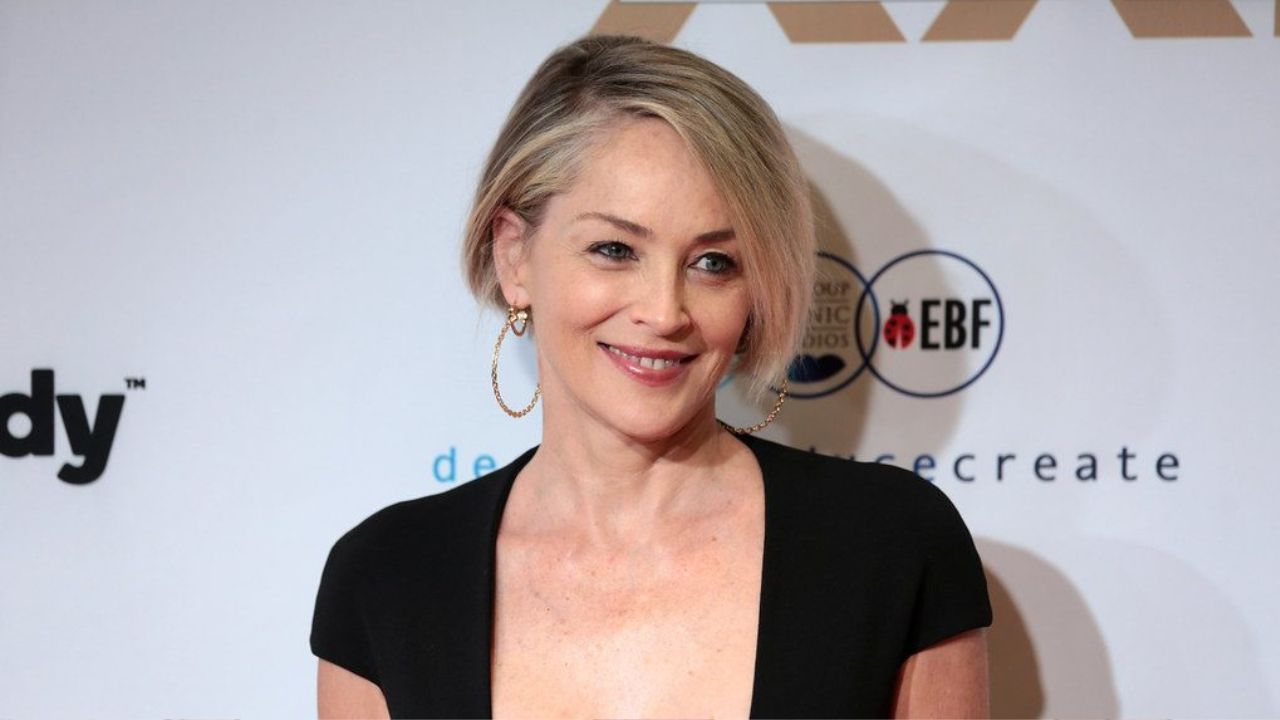 Len do toho, ale veľa šťastia: Sharon Stone odmietla film Základný inštinkt 2