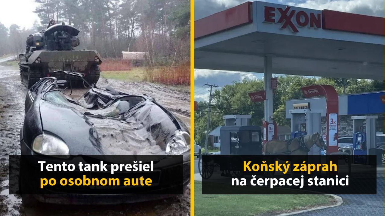 30+ Obrázkov, ktorými dokonale zabiješ čas #607 – Chodiace obrazy alebo internet v roku 1998