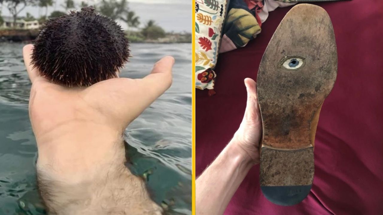 Ruka držiaca ježovku nad vodou; podrážka topánky s kresbou oka.