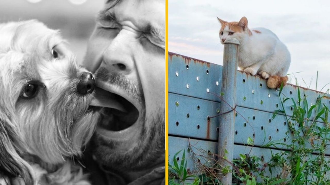 15 ľudí, ktorých perfektné načasovanie im prinieslo ohromujúcu fotografiu