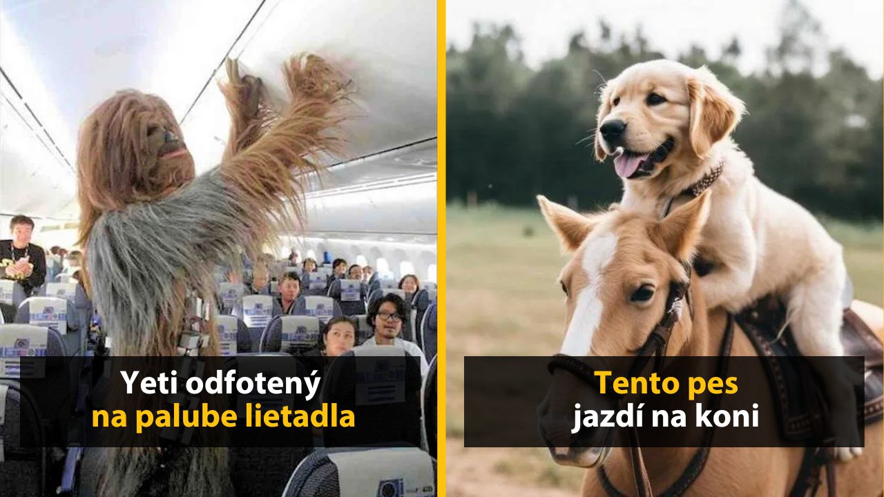 30+ Obrázkov, ktorými dokonale zabiješ čas #606 – Moonwalk trochu inak alebo bicykel s „klímou“