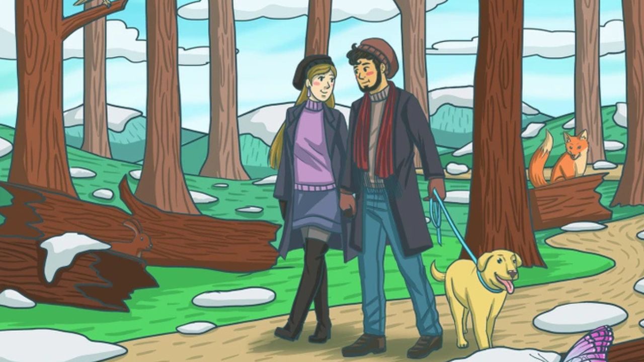 Stavíme sa s vami, že do 10 sekúnd nenájdete zajaca na tomto obrázku: Kto si trúfa?