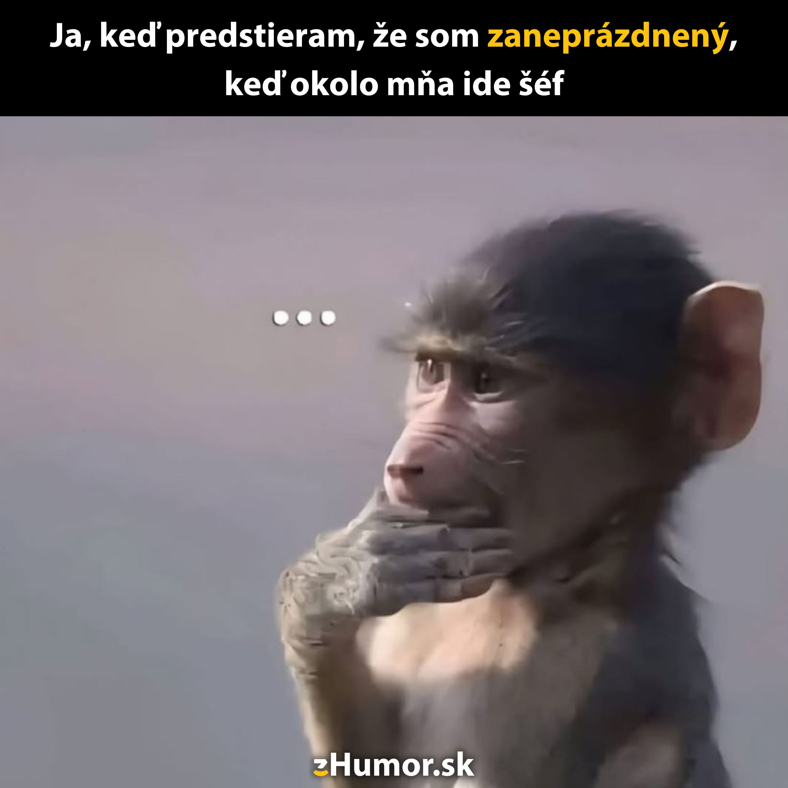 Opica predstiera zamyslenie s nápisom: Ja, keď predstieram, že som zaneprázdnený, keď okolo mňa ide šéf.