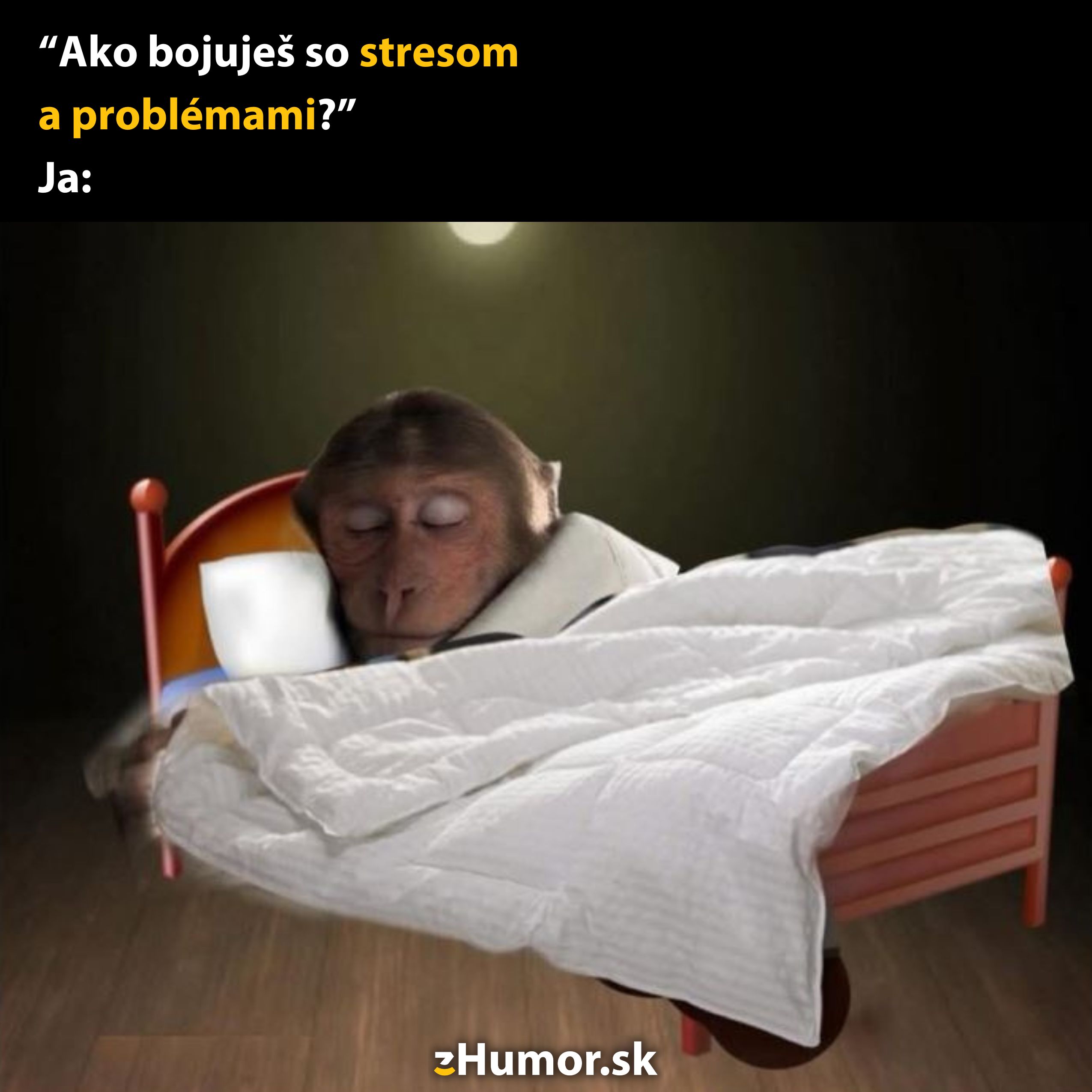 Opička spí v posteli zakrytá paplónom, vtipný text o zvládaní stresu a problémov spánkom.