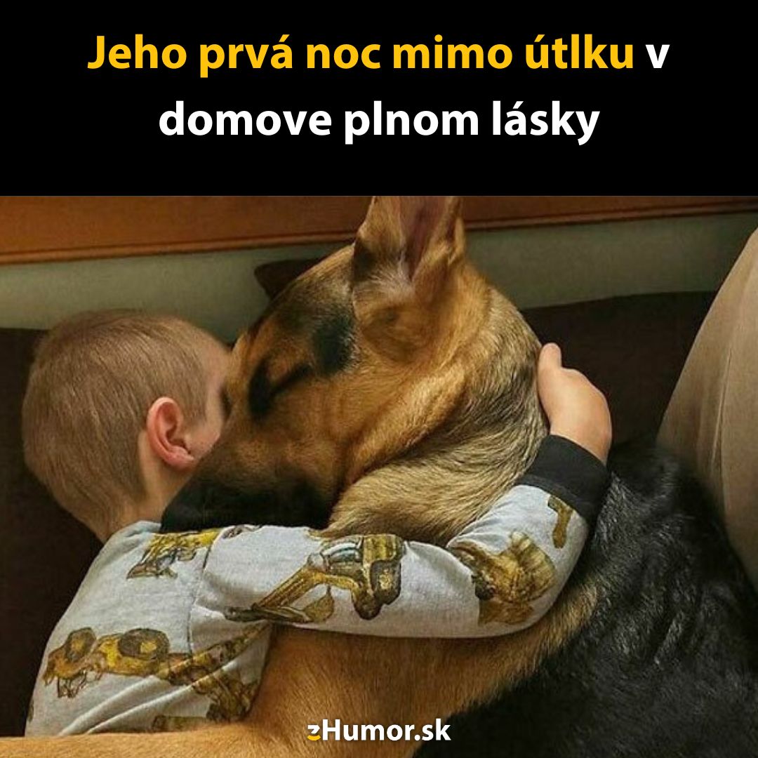 Dieťa a pes v objatí, prvá noc v novom domove, láska a bezpečie mimo útulku.