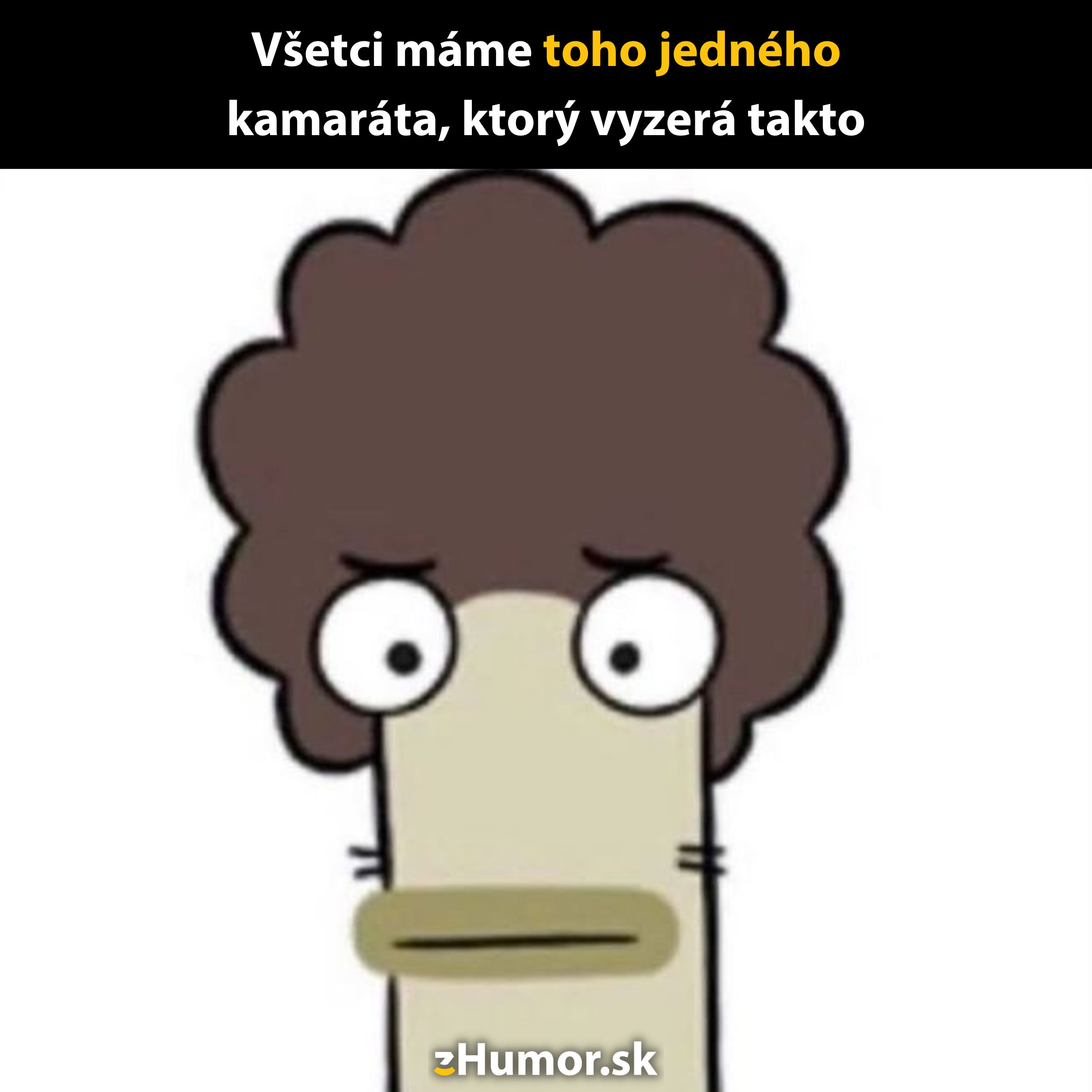 Karikatúra postavy so širokými očami a hnedými kučeravými vlasmi, s textom o typickom kamarátovi.