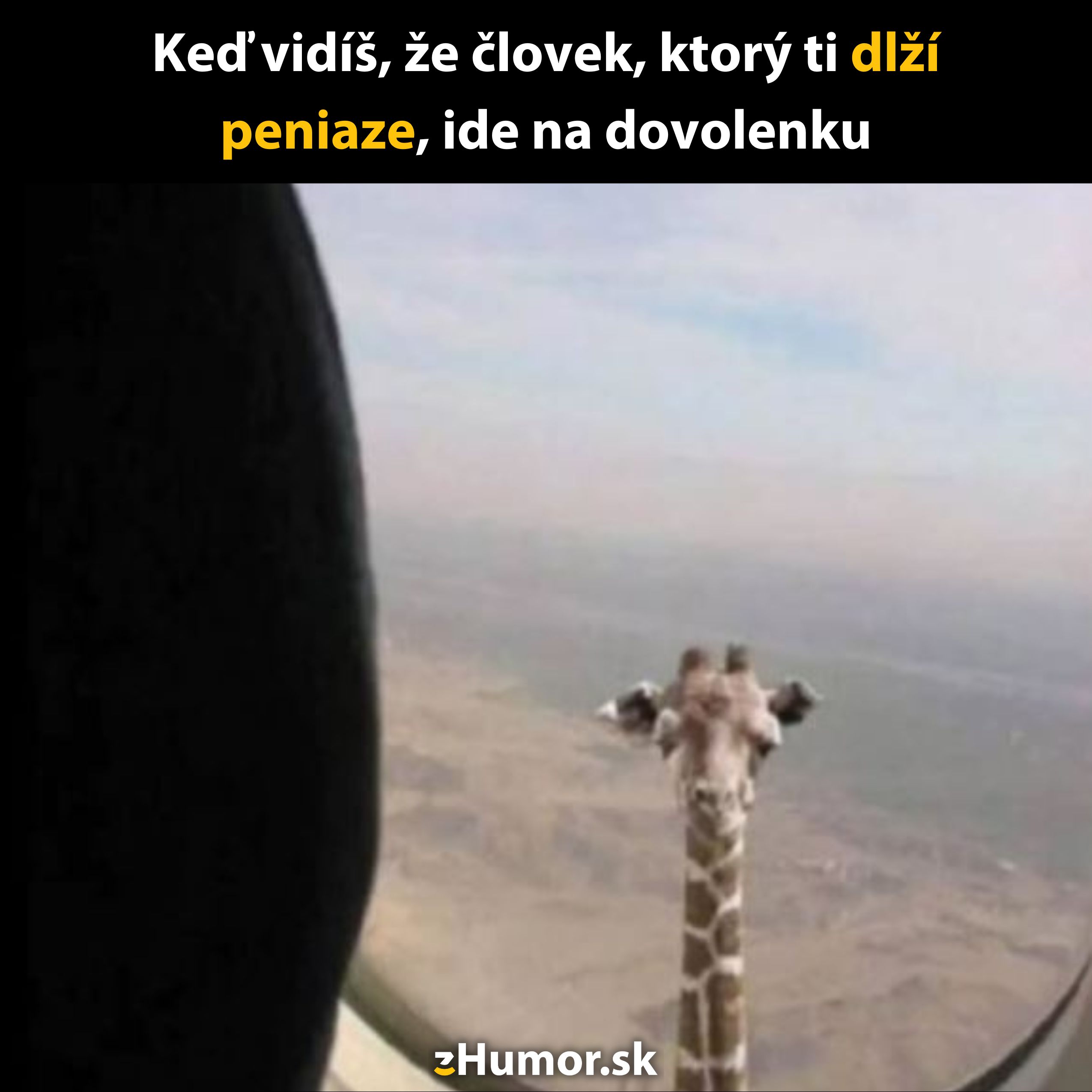 Žirafa vykukuje z okna lietadla na púštnej krajinu, vtipná situácia s názvom o dlžníkovi na dovolenke.