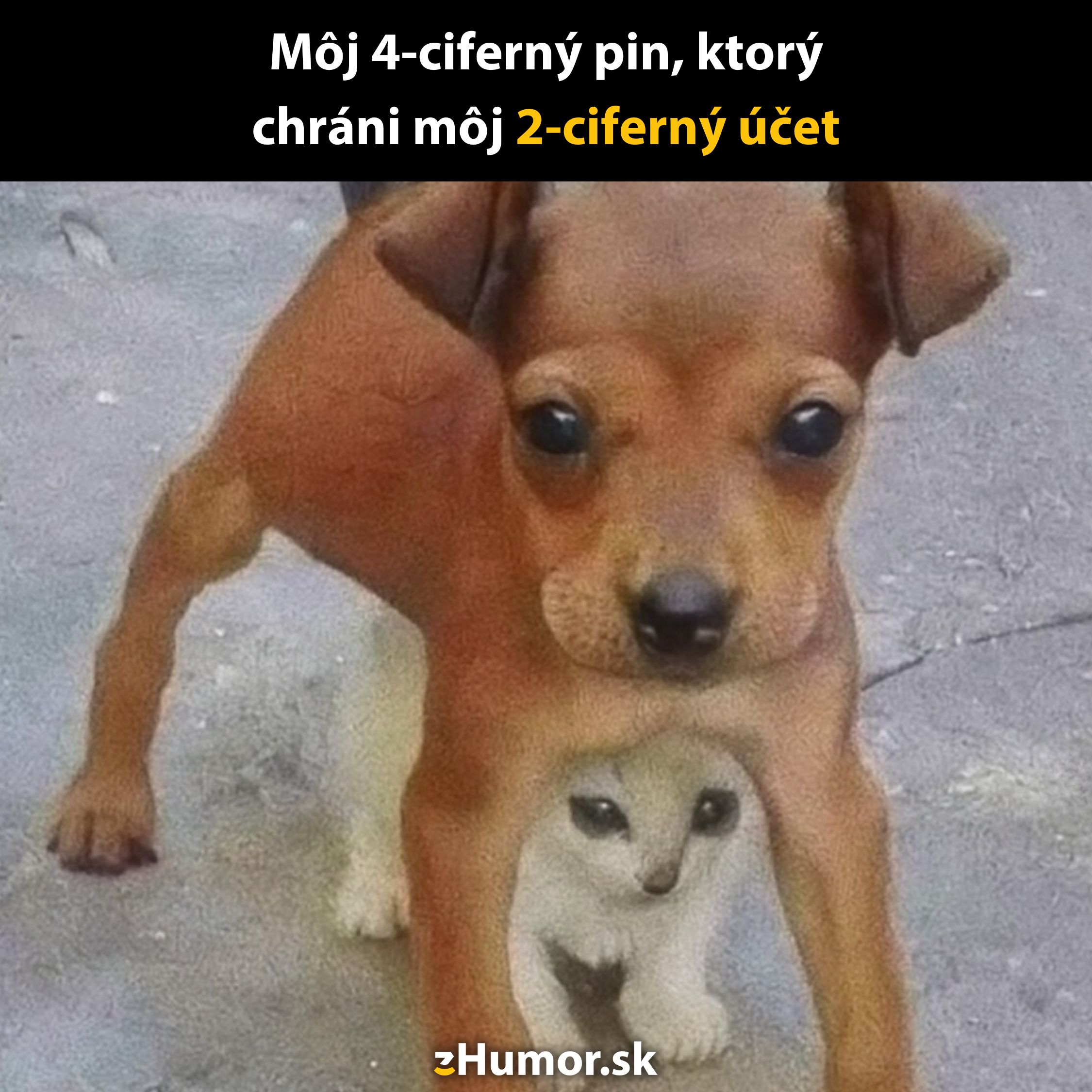 Pes chrániaci mačiatko, vtipná metafora pre zabezpečenie údajov. Text: Môj 4-ciferný pin a 2-ciferný účet.