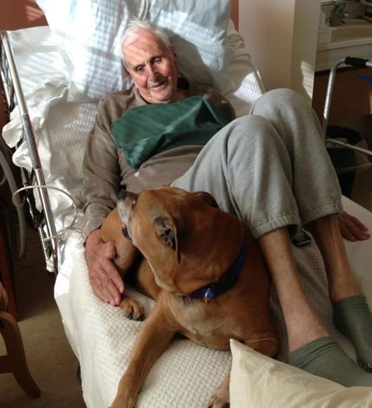 Starší muž so psom oddychujúci v posteli, vyžarujúci pokoj a priateľstvo v slnečnom svetle.