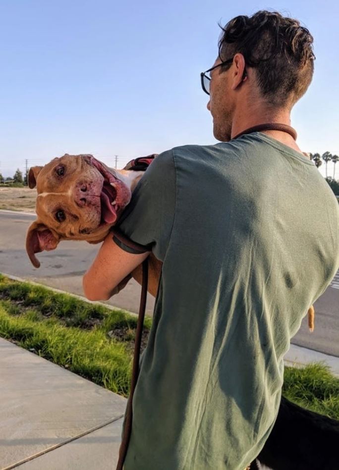 Muž v zelenom tričku nesie šťastného psa na chodníku pri západe slnka.