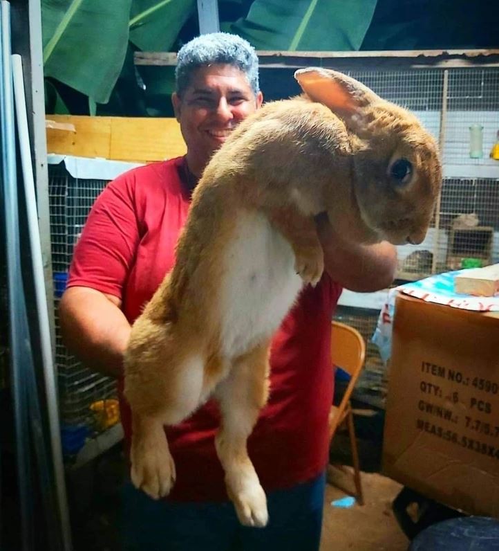 Osoba drží veľkého králika v klietkovej miestnosti s rastlinami v pozadí.