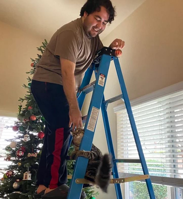 Muž na rebríku zdobí vianočný stromček, zatiaľ čo mačka šplhá po rebríku.