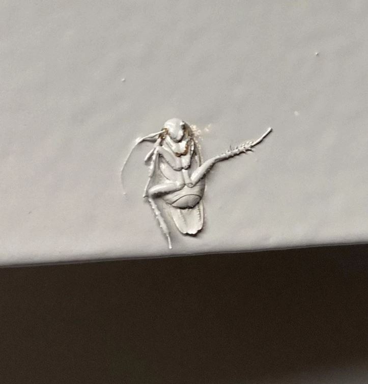 Biely reliéf hmyzu na šedej stene, detailný záber, textúra povrchu.
