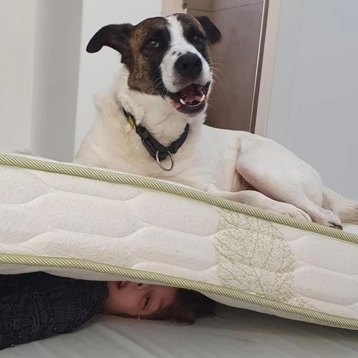 Pes leží na matraci, pod ktorým je schovaný chlapec s úsmevom na tvári.