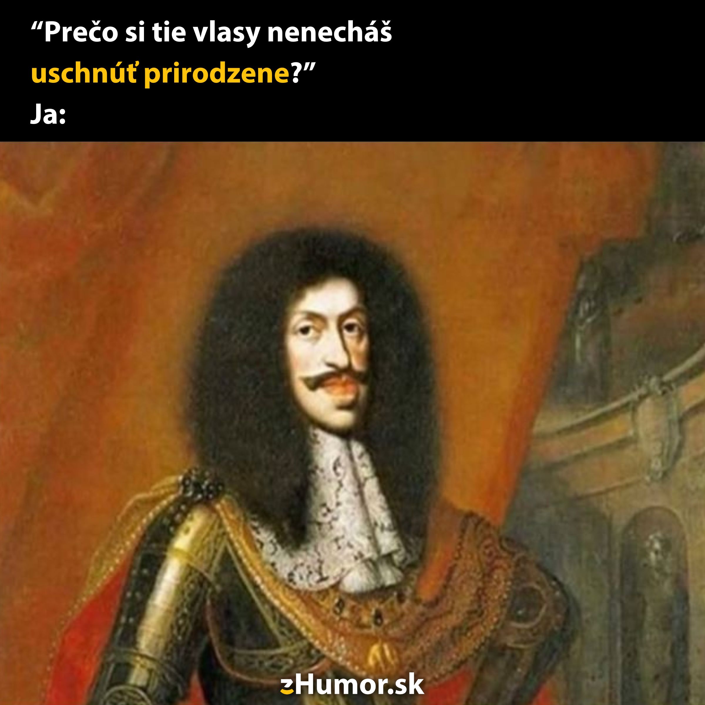 Meme s historickým portrétom s textom o prirodzenom sušení vlasov, zdôraznené veľké kučeravé vlasy.