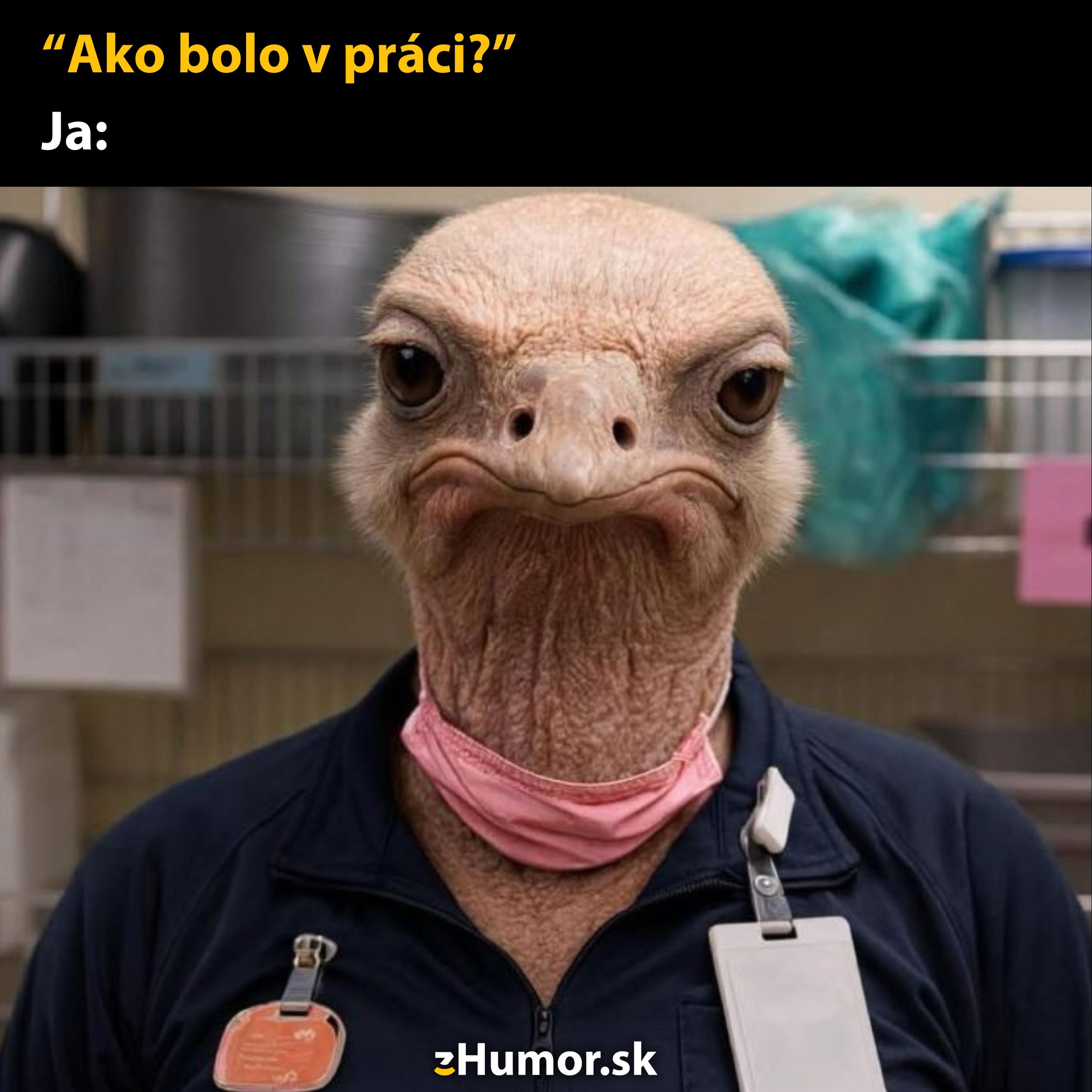 Pštros s ľudským telom a unaveným výrazom v lekárskom plášti, vtipný komentár o práci.