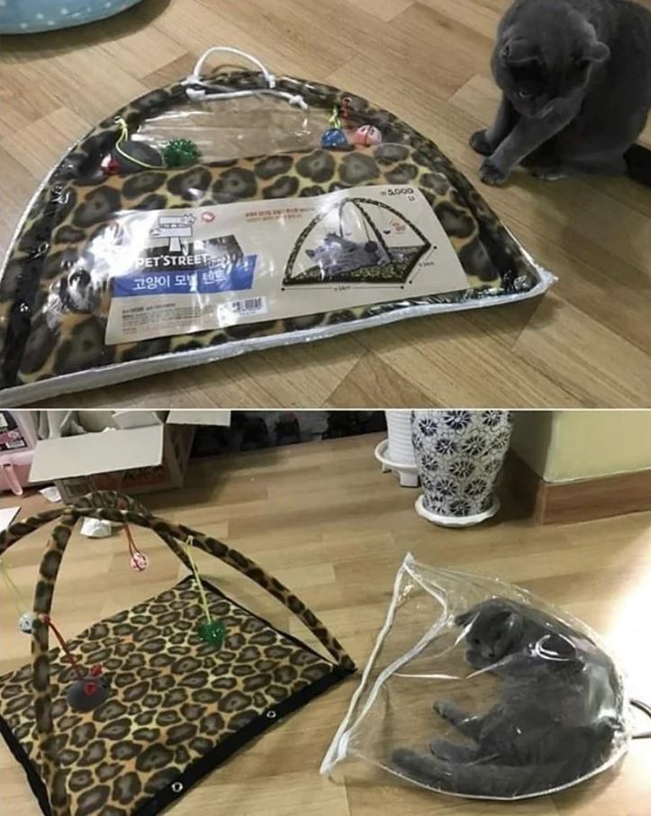 Mačka skúma obal hračky, zatiaľ čo vedľa je rozložená hračka na hranie v leopardom vzoru.