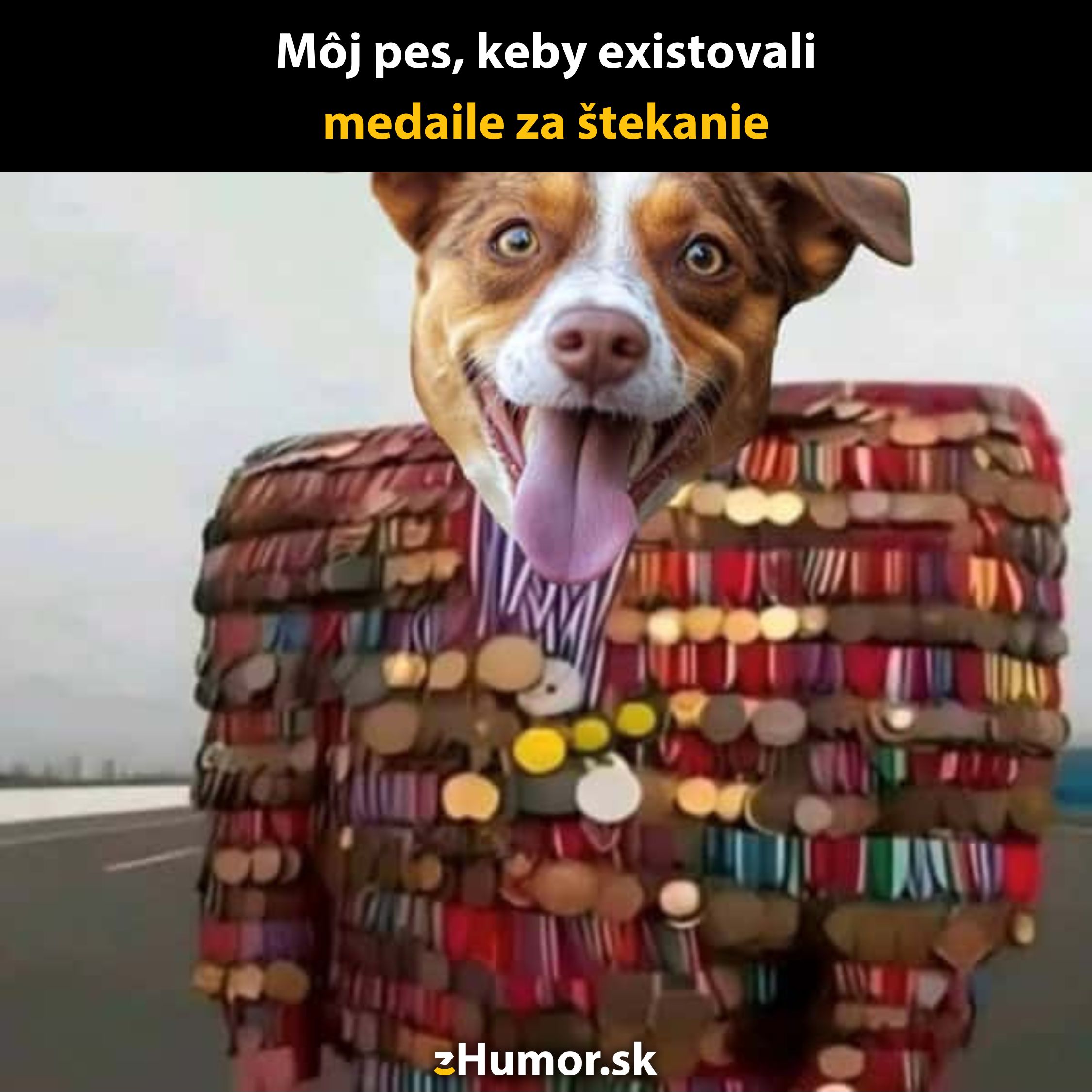 Pes s množstvom medailí za štekot, s nadšeným výrazom, zobratý ako vtipná ilustrácia schopností štekania.