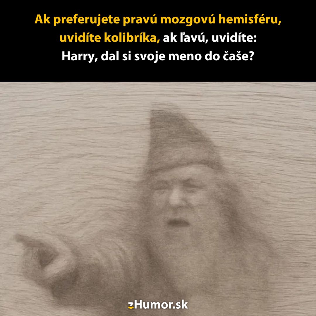 Mozgová ilúzia: rozhodni sa, čo vidíš na kresbe - kolibrík alebo čarodejník? Bav sa s touto optickou hádankou!
