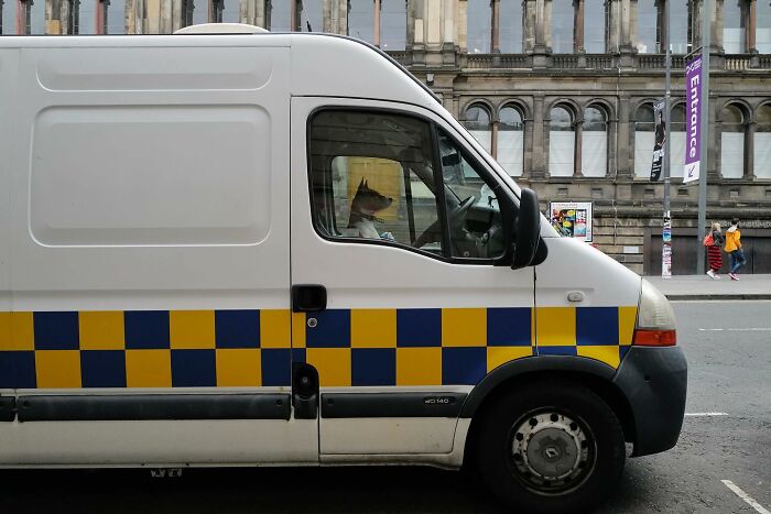 Pes sedí na mieste vodiča v bielom aute so žlto-modrou šachovnicou pred starou budovou.