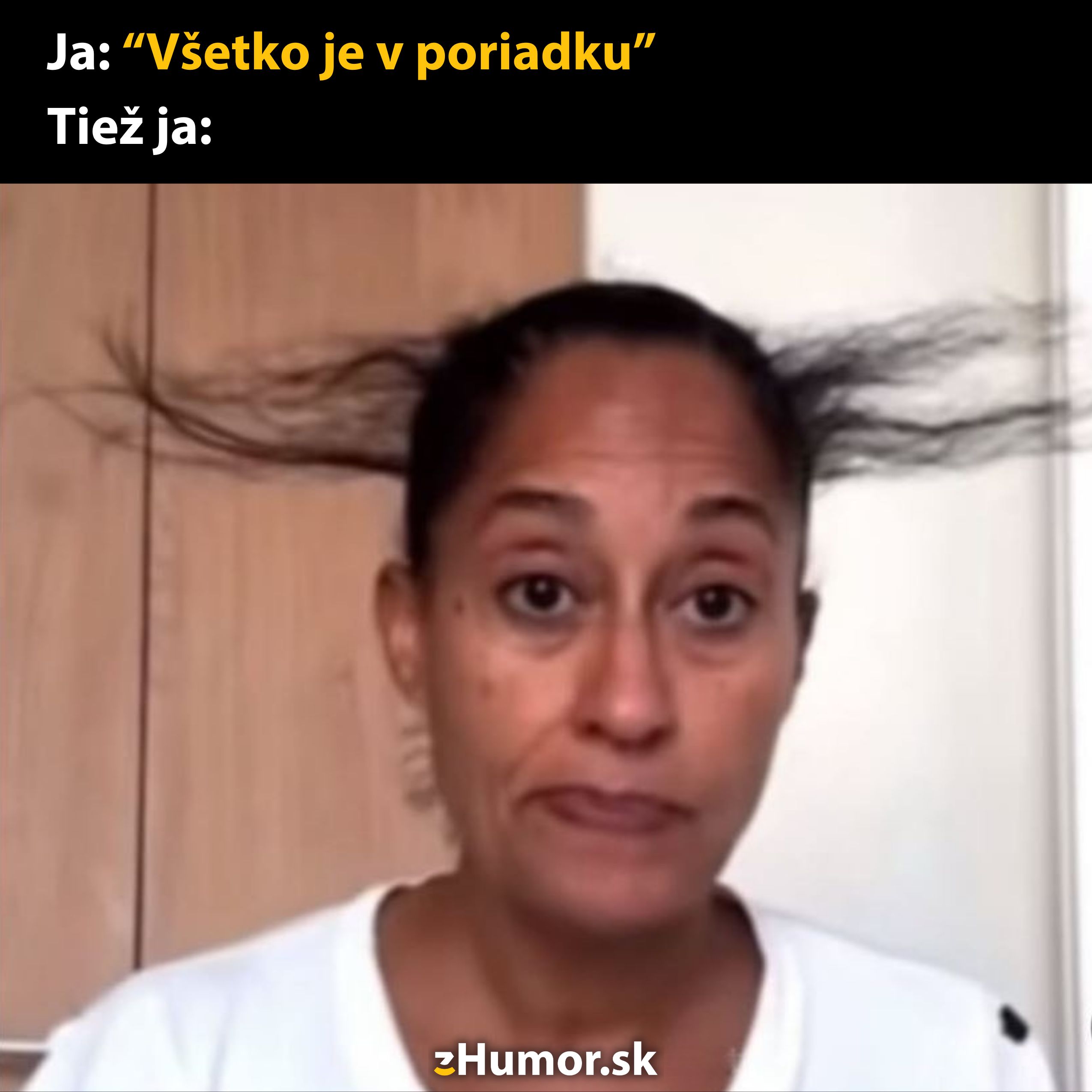 Žena s rozcuchanými vlasmi a znudeným výrazom, nadpis: Ja: Všetko je v poriadku, Tiež ja:.