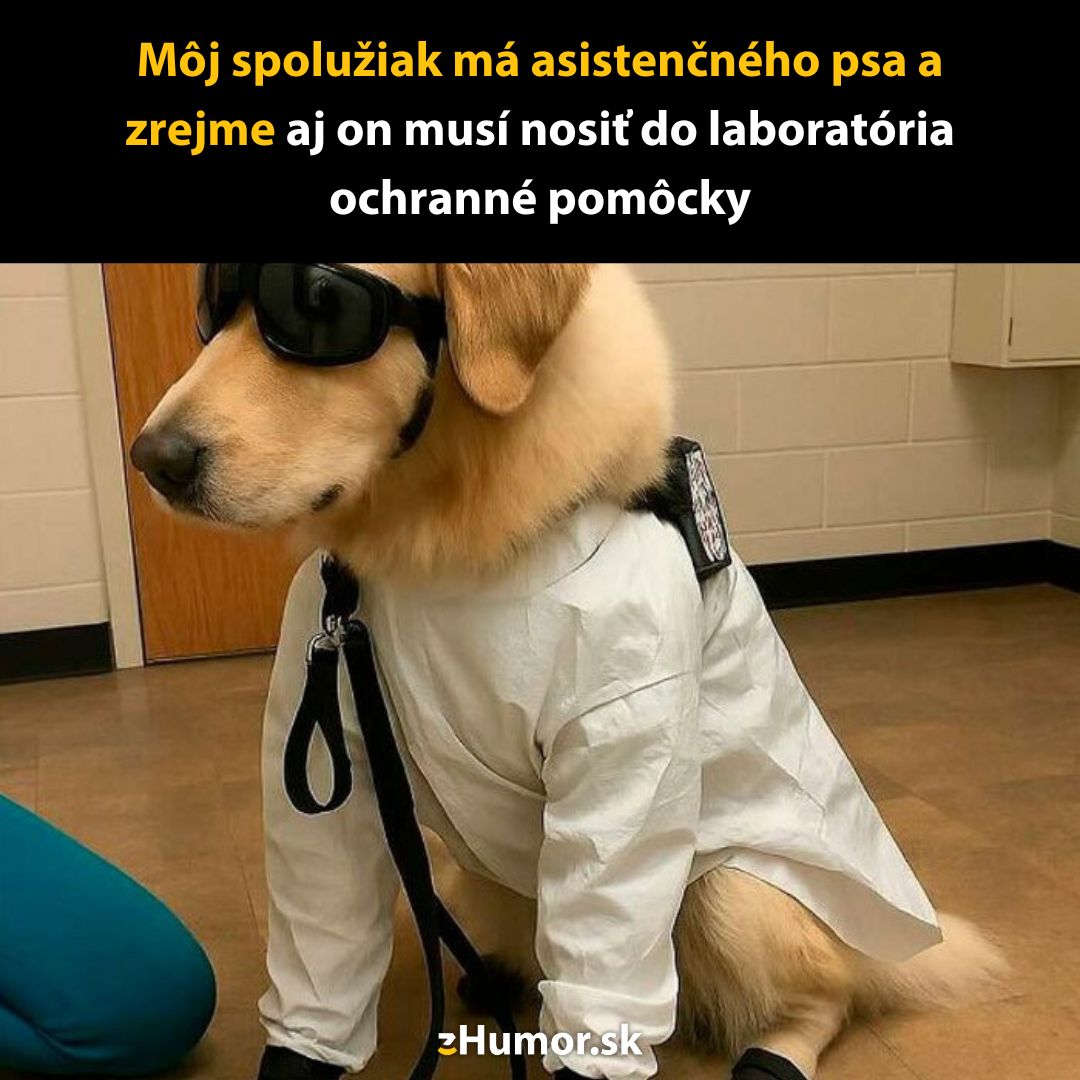 Asistenčný pes v laboratóriu s ochrannými okuliarmi a plášťom, pripravený na výskum.