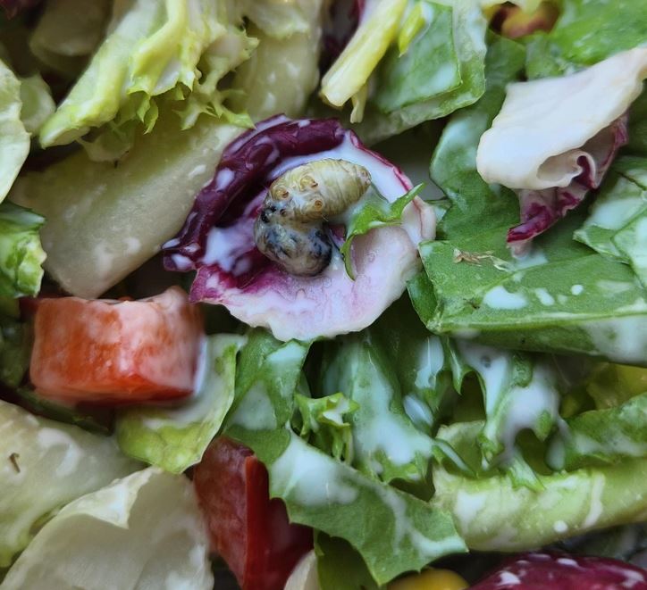 Šalát s rôznymi druhmi listovej zeleniny a kúskom červenej papriky, detailná textúra.