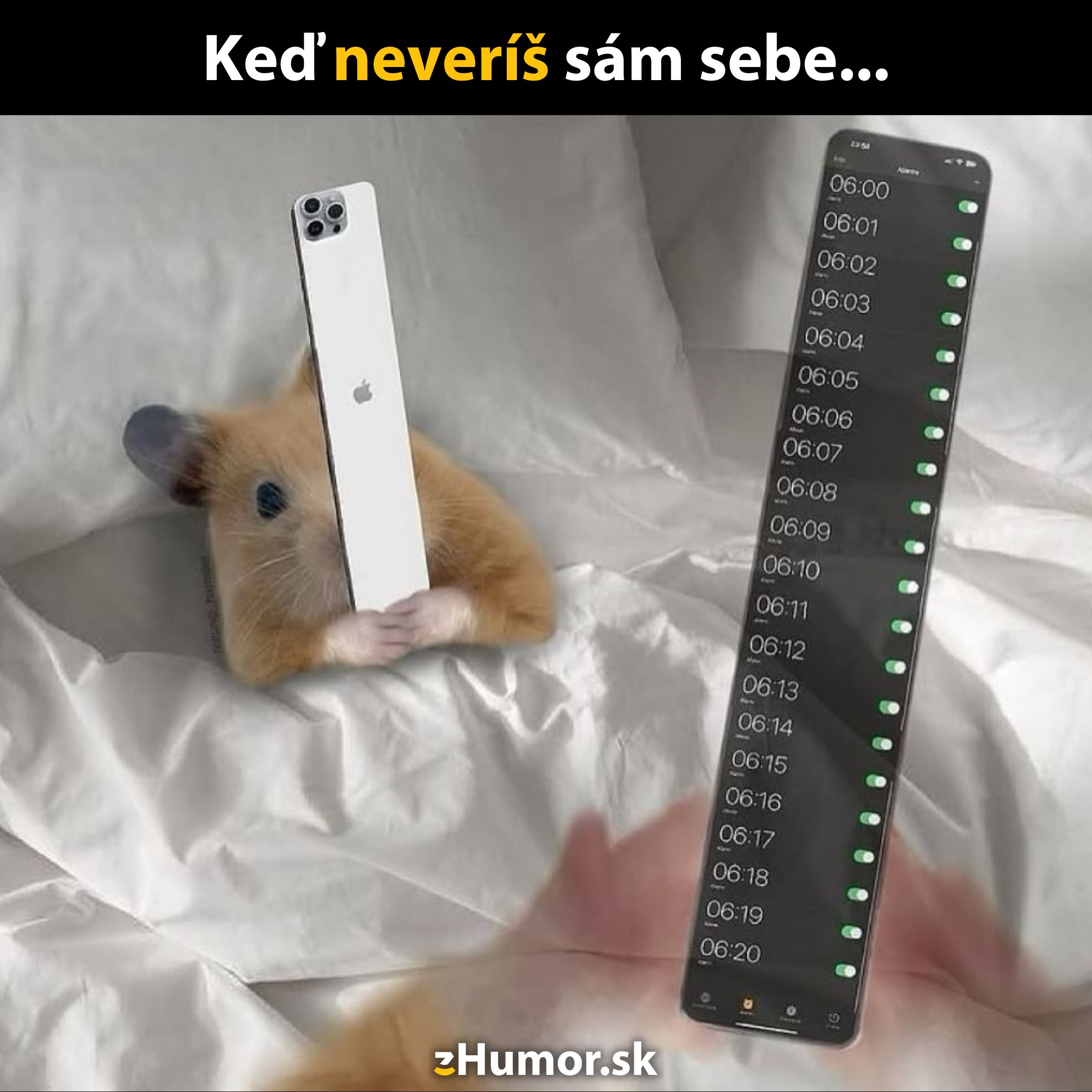 Škrečok s telefónom nastavuje viac budíkov, text: Keď neveríš sám sebe.